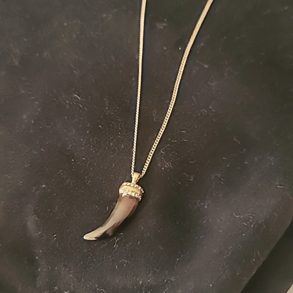 J. Crew Horn Necklace - Picture 1 of 4